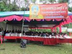 งานวันสงกรานต์และแห่เศียรท้าวมหาพรหม 2556